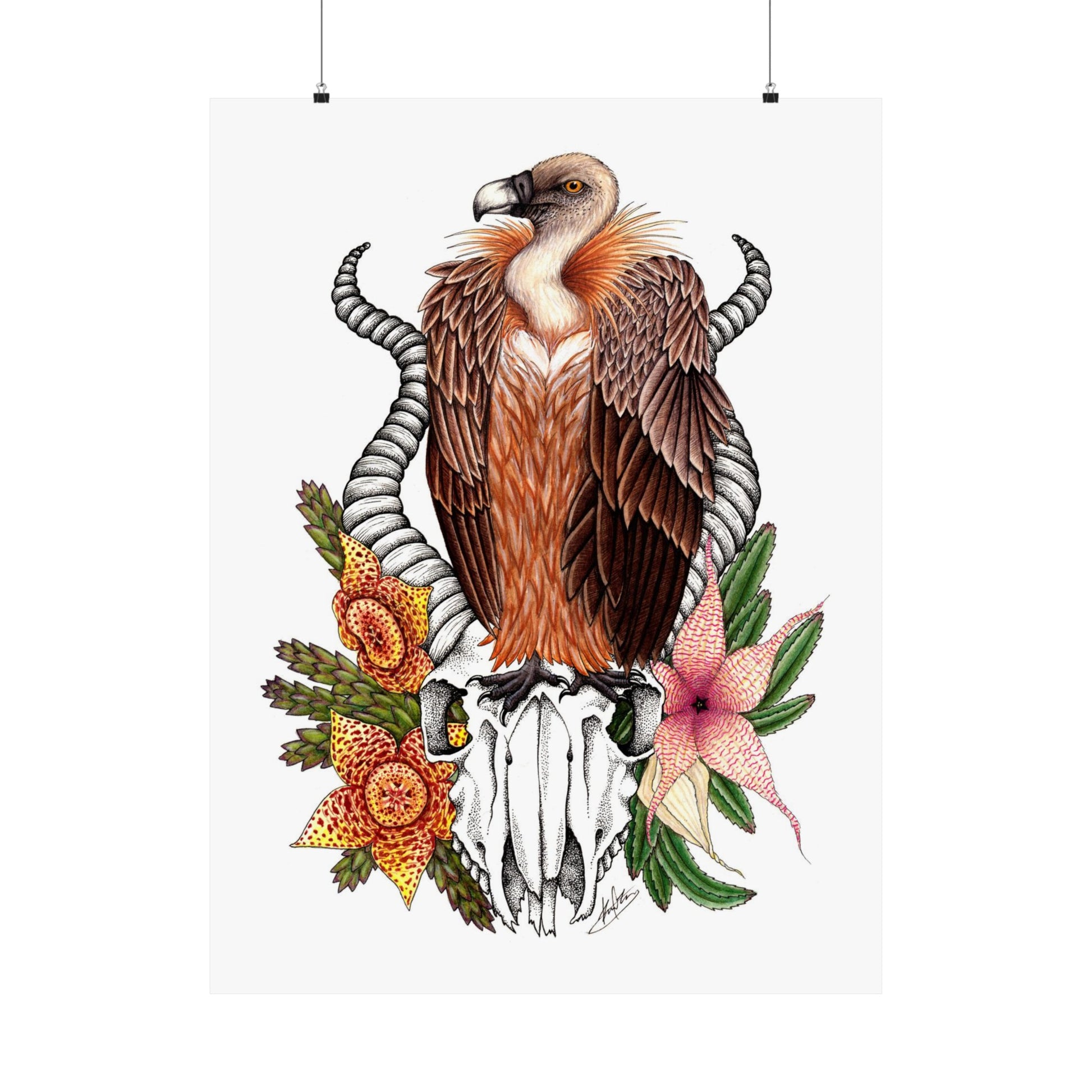 Griffon Vulture & Corpse Flowers - Fine Art Matte Print - Red Finch Creations