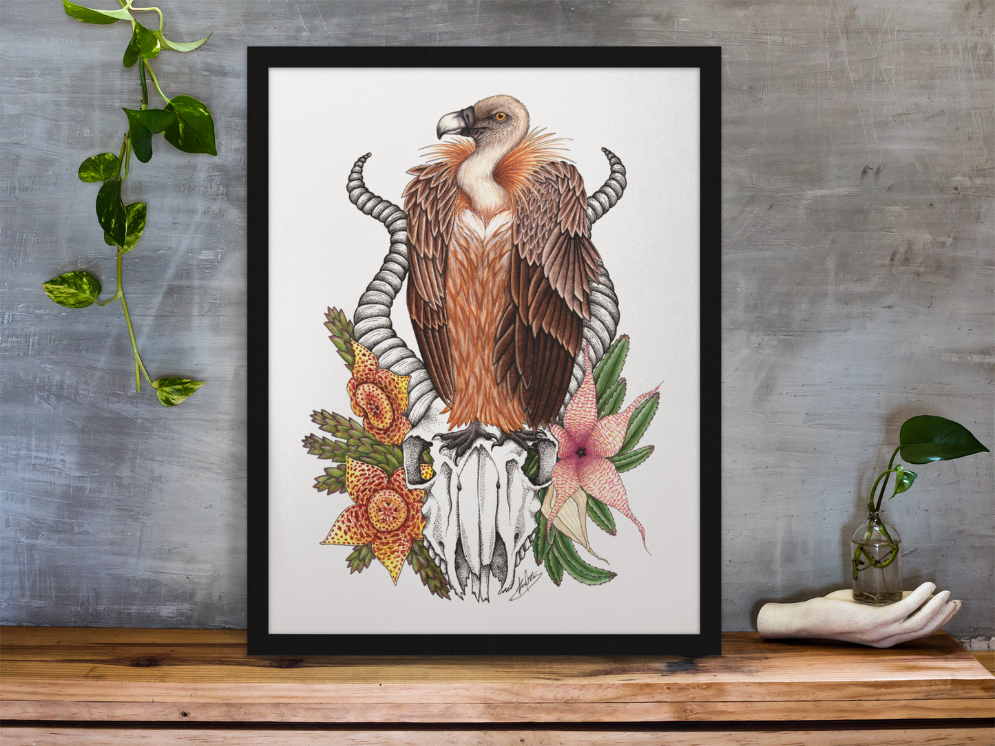 Griffon Vulture & Corpse Flowers - Fine Art Matte Print - Red Finch Creations