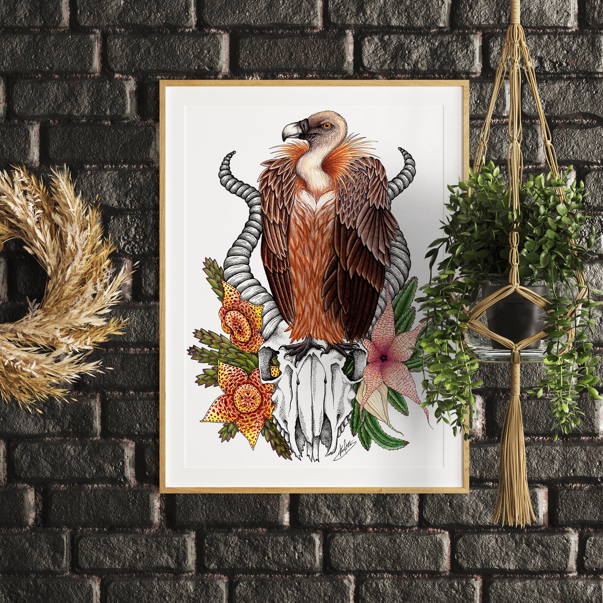 Griffon Vulture & Corpse Flowers - Fine Art Matte Print - Red Finch Creations